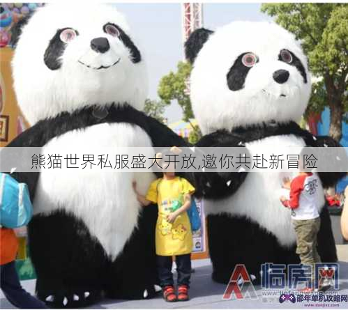 熊猫世界私服盛大开放,邀你共赴新冒险