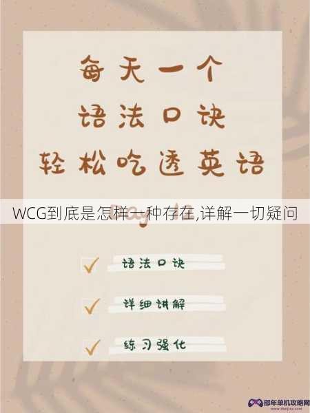 WCG到底是怎样一种存在,详解一切疑问