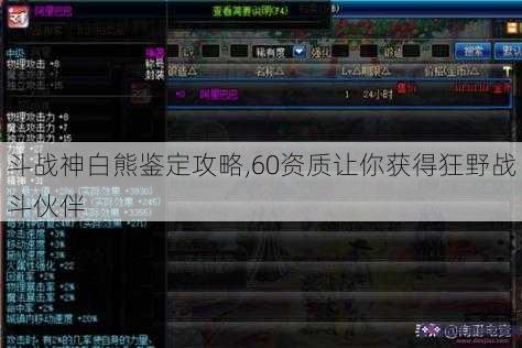 斗战神白熊鉴定攻略,60资质让你获得狂野战斗伙伴