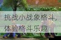 挑战小战象格斗,体验格斗乐趣