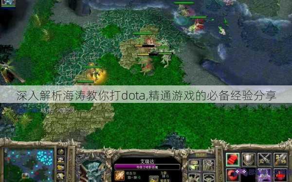 深入解析海涛教你打dota,精通游戏的必备经验分享