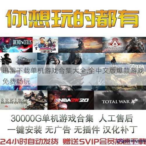 迅雷下载单机游戏合集大全,全中文版爆款游戏免费畅玩