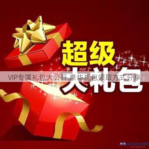 VIP专属礼包大公开,豪华礼包领取方式分享