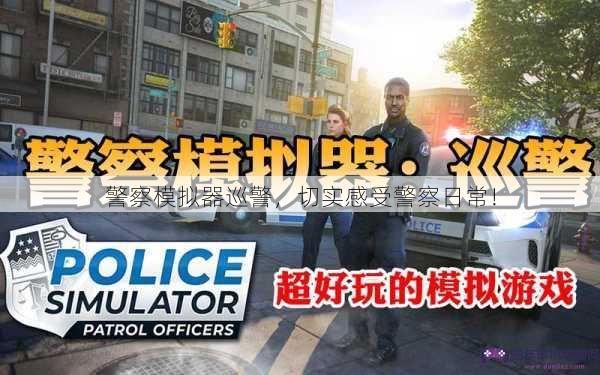 警察模拟器巡警，切实感受警察日常！