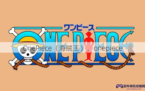 OnePiece（海贼王），onepiece