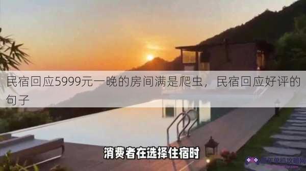 民宿回应5999元一晚的房间满是爬虫，民宿回应好评的句子