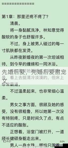 先婚后爱，先婚后爱甜宠文