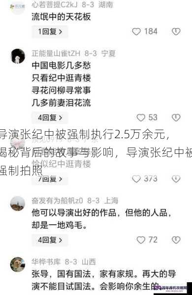 导演张纪中被强制执行2.5万余元，揭秘背后的故事与影响，导演张纪中被强制拍照