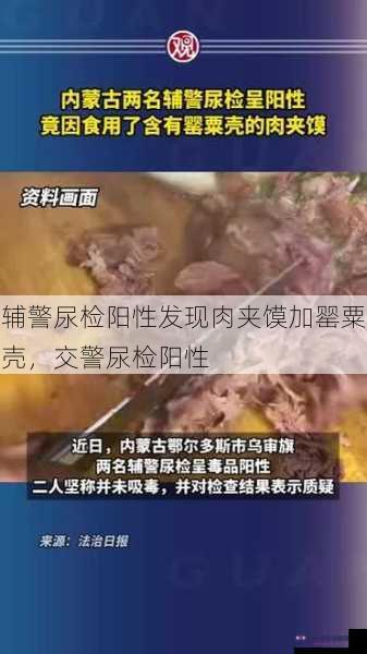 辅警尿检阳性发现肉夹馍加罂粟壳，交警尿检阳性