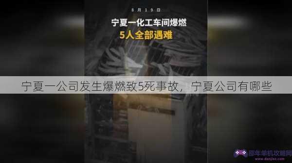 宁夏一公司发生爆燃致5死事故，宁夏公司有哪些