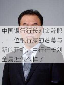 中国银行行长刘金辞职，一位银行家的落幕与新的开始，中行行长刘金最近怎么样了