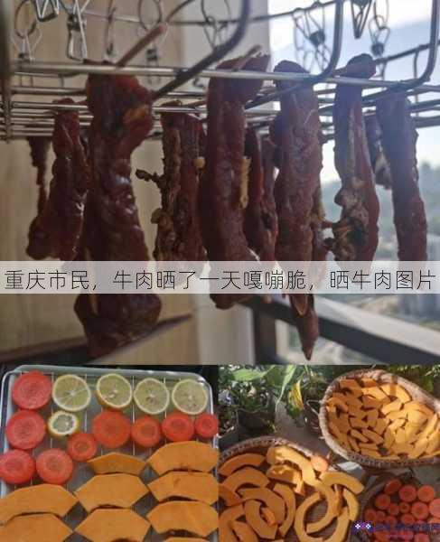 重庆市民，牛肉晒了一天嘎嘣脆，晒牛肉图片