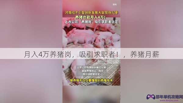 月入4万养猪岗，吸引求职者！，养猪月薪