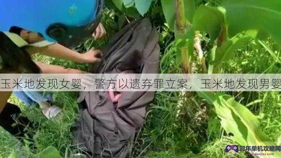 玉米地发现女婴，警方以遗弃罪立案，玉米地发现男婴